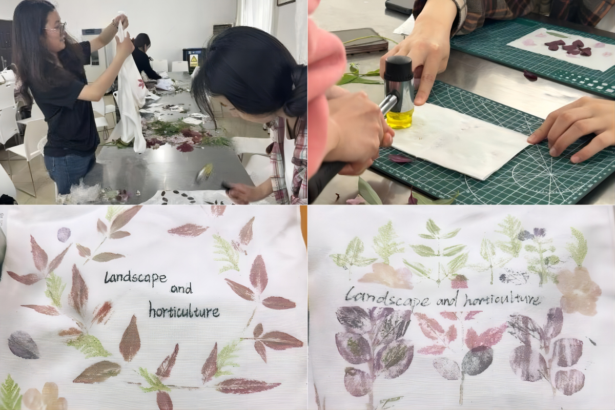 我校举办植物拓染非遗活动